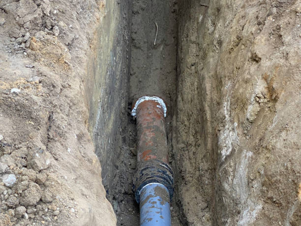 Best Sewage cleanup and water damage restoration  in Woodville, WI