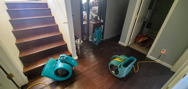 Best Professional water damage repair  in Woodville, WI