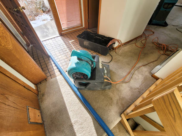 Best Flood restoration services  in Woodville, WI