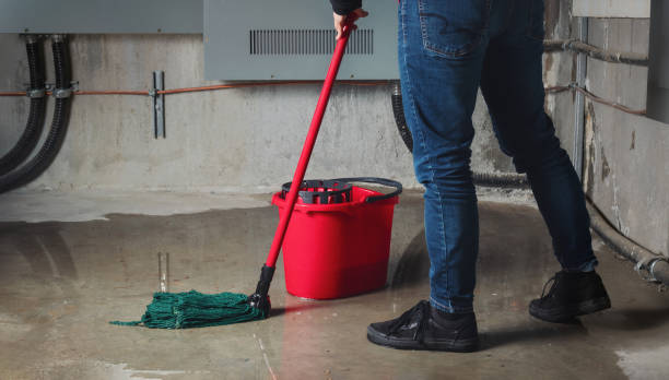 Best Professional water damage repair  in Woodville, WI