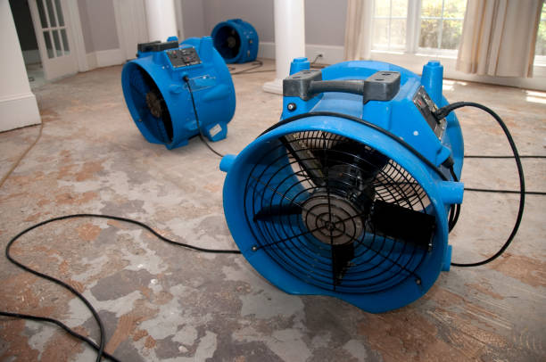 Best 24/7 water damage repair  in Woodville, WI
