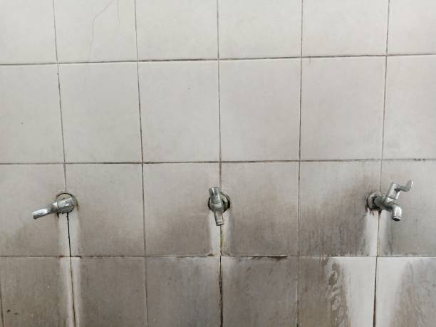 Carpet water damage restoration in WI