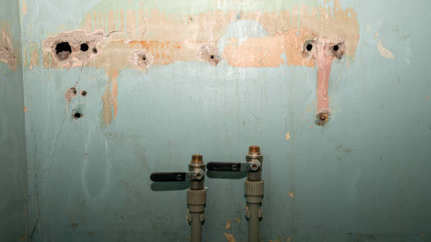 Best Fire Damage Restoration  in Woodville, WI