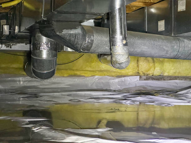 Best Water damage restoration near me  in Woodville, WI