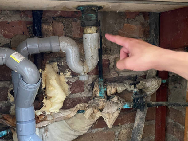 Best Flooded house restoration  in Woodville, WI